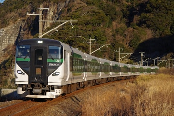 JR東日本E257系オオOM-92編成を浜金谷～保田間で撮影した画像