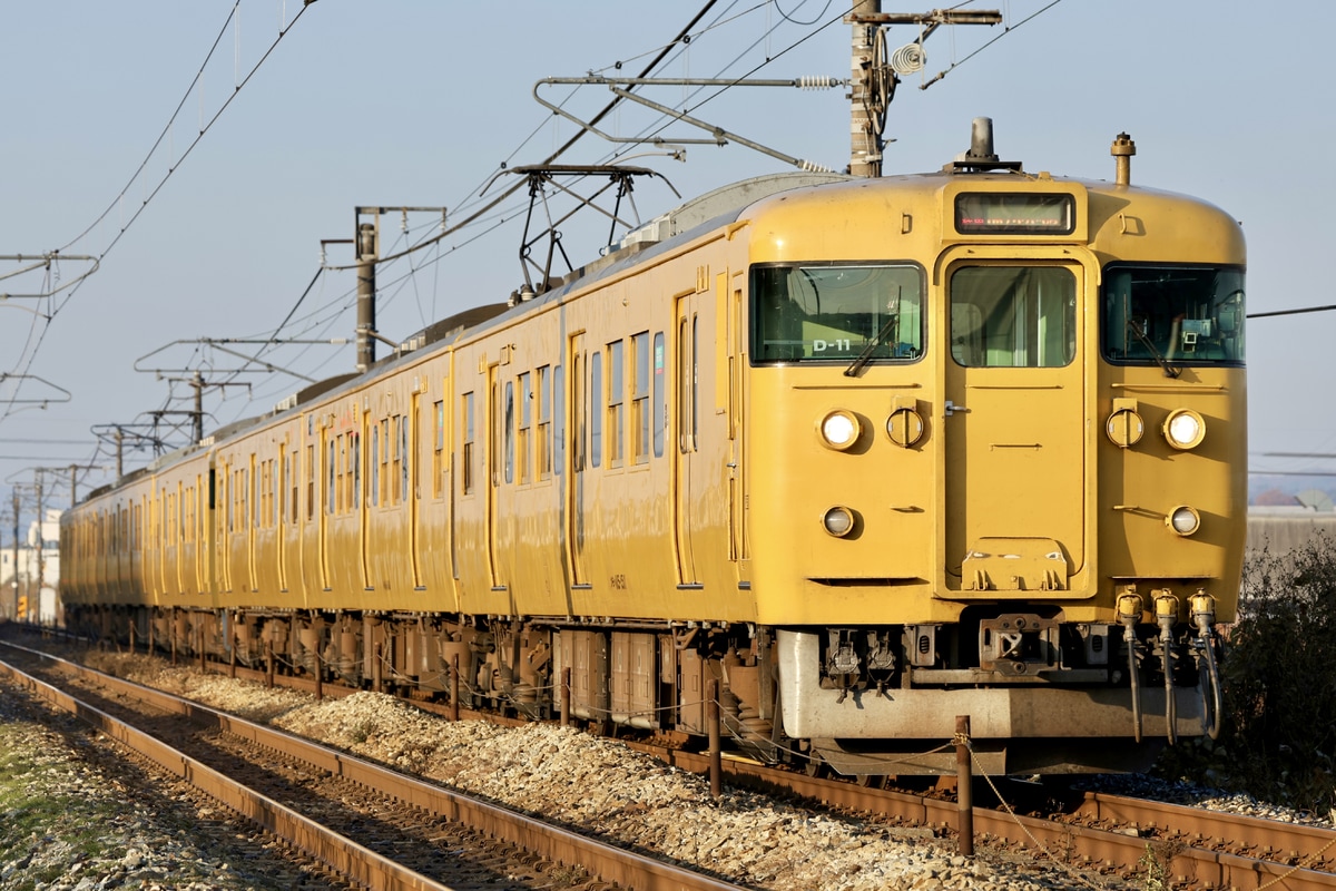 JR西日本 下関総合車両所岡山電車支所 115系 D-11編成