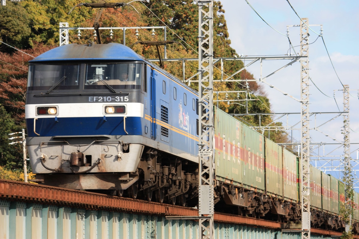 JR貨物 吹田機関区 EF210 315