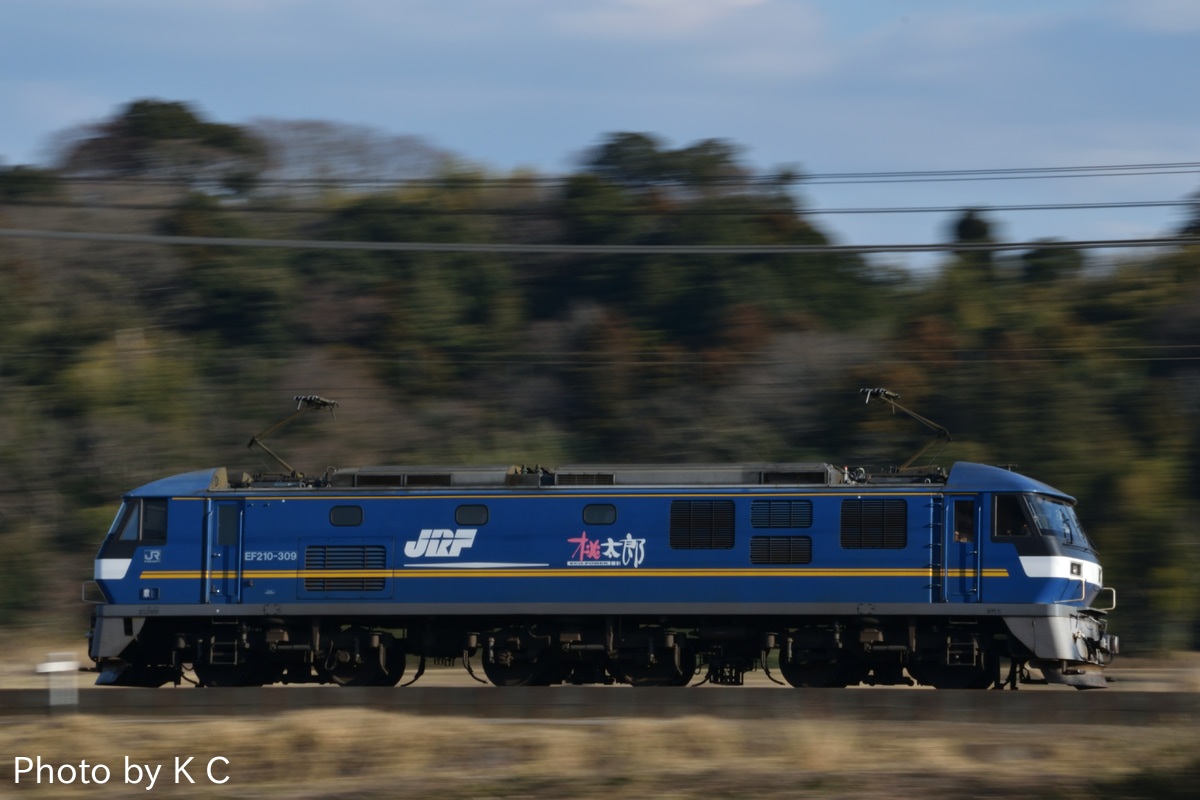 JR貨物 吹田機関区 EF210 309