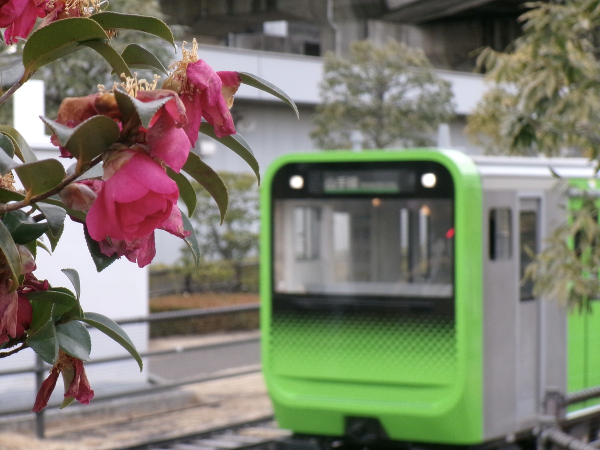 JR東日本 鉄道博物館 E235系 7編成