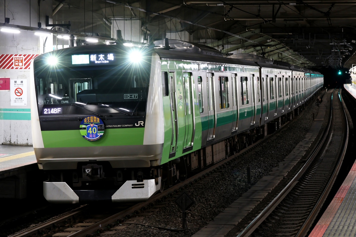 JR東日本 川越車両センター E233系 ハエ117編成