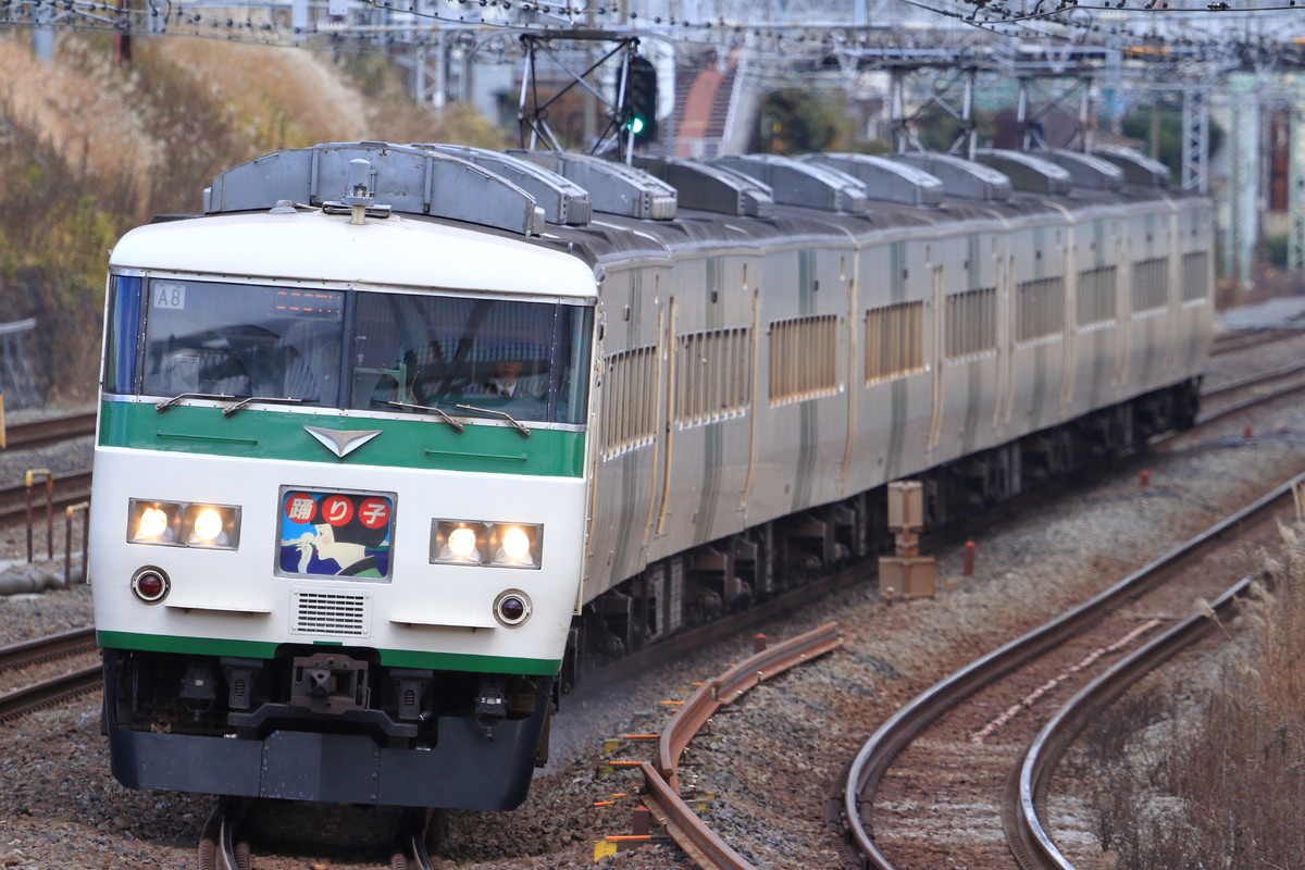 JR東日本 大宮総合車両センター本区 185系 オオA8編成