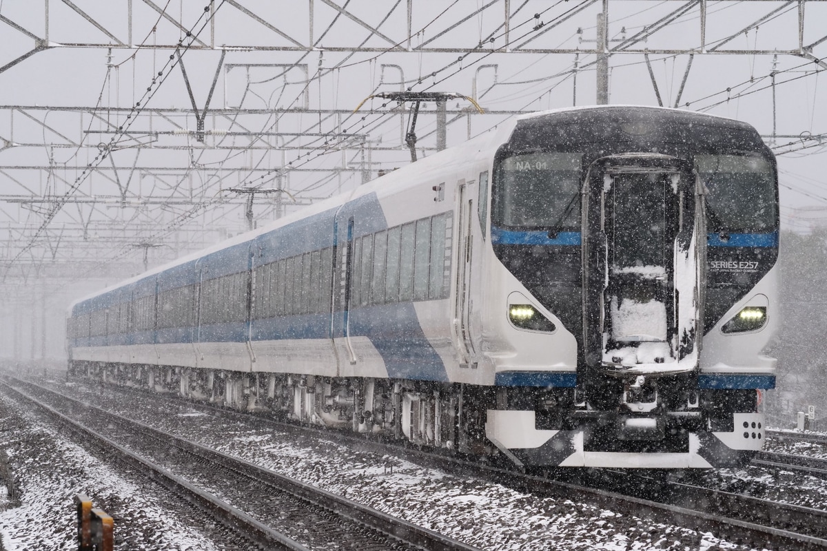 JR東日本  E257系 NA-01編成
