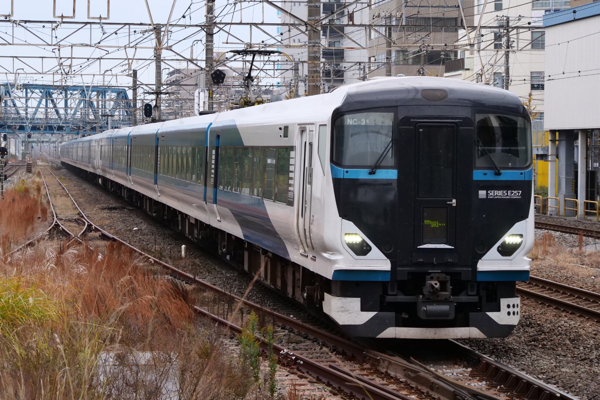 JR東日本  E257系 NC-31編成