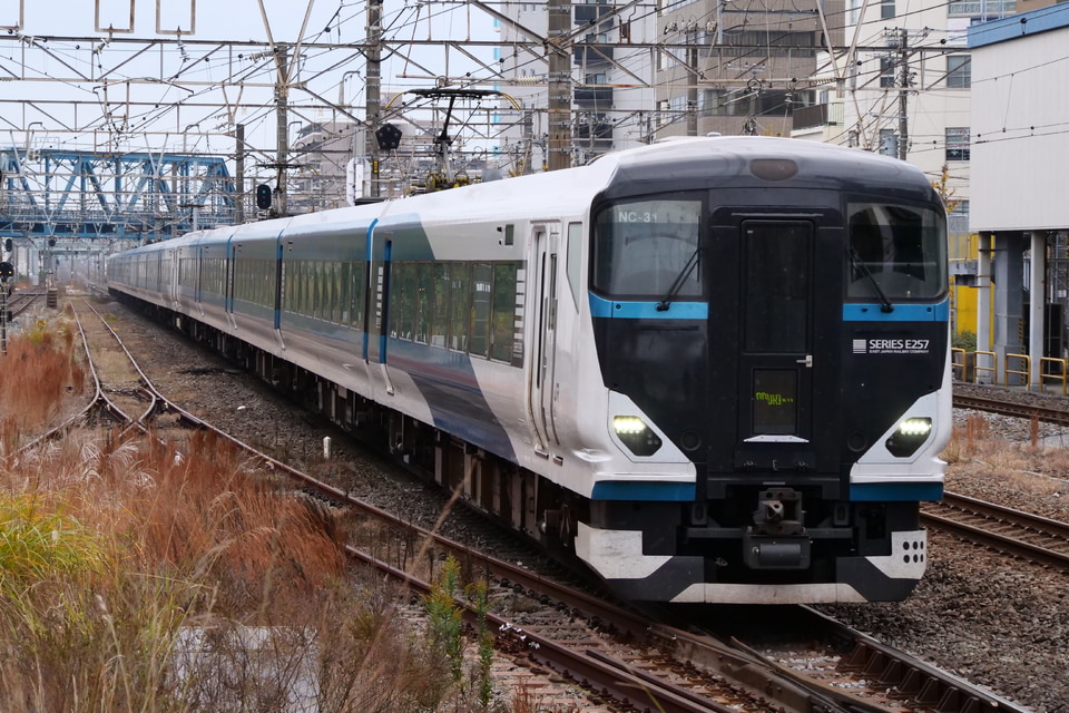 JR東E257系オオNC-31編成<br class="br-sp" />(オオNC-31)(NC31編成)(NC-31編成)の写真