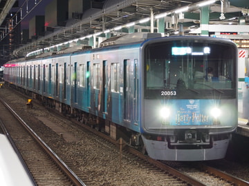 byレーさん(カメです)