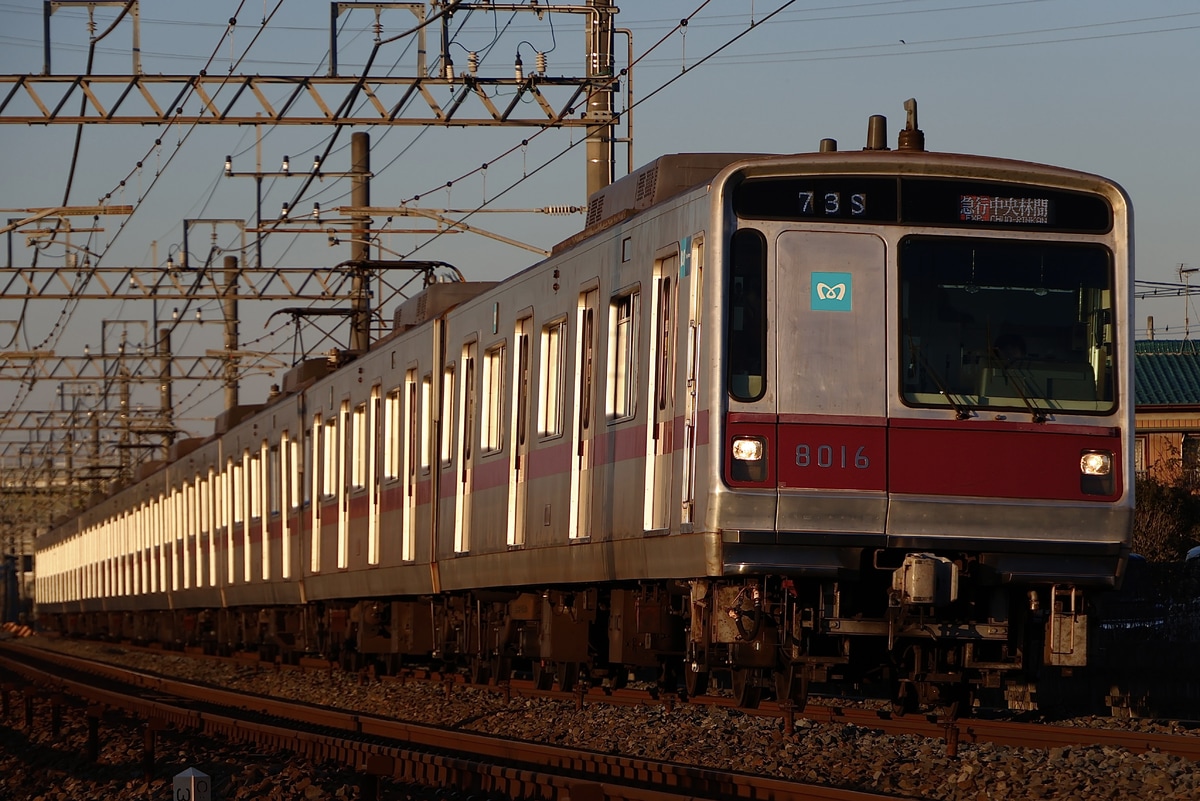 東京メトロ 鷺沼検車区 8000系 8116F