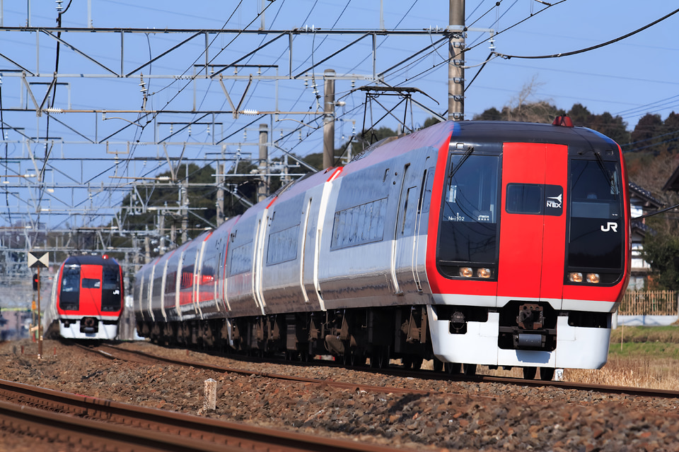 JR東253系クラNe102編成<br class="br-sp" />(Ne102編成)(Ne102)の写真