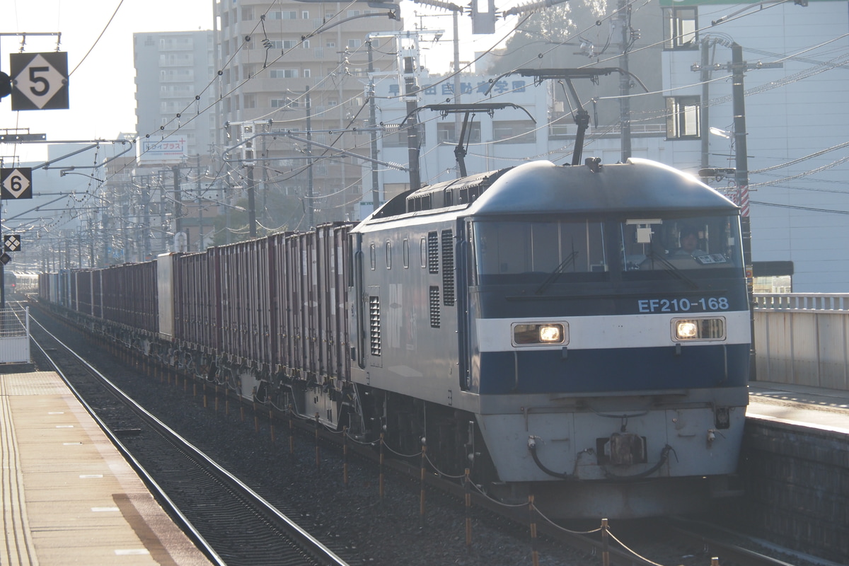 JR貨物 吹田機関区 EF210 168