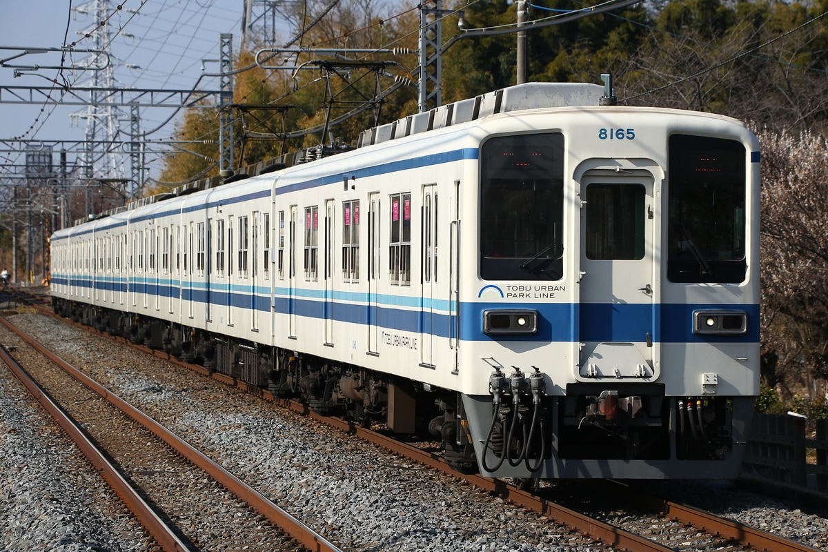 東武鉄道 南栗橋車両管区七光台支所 8000系 8165f
