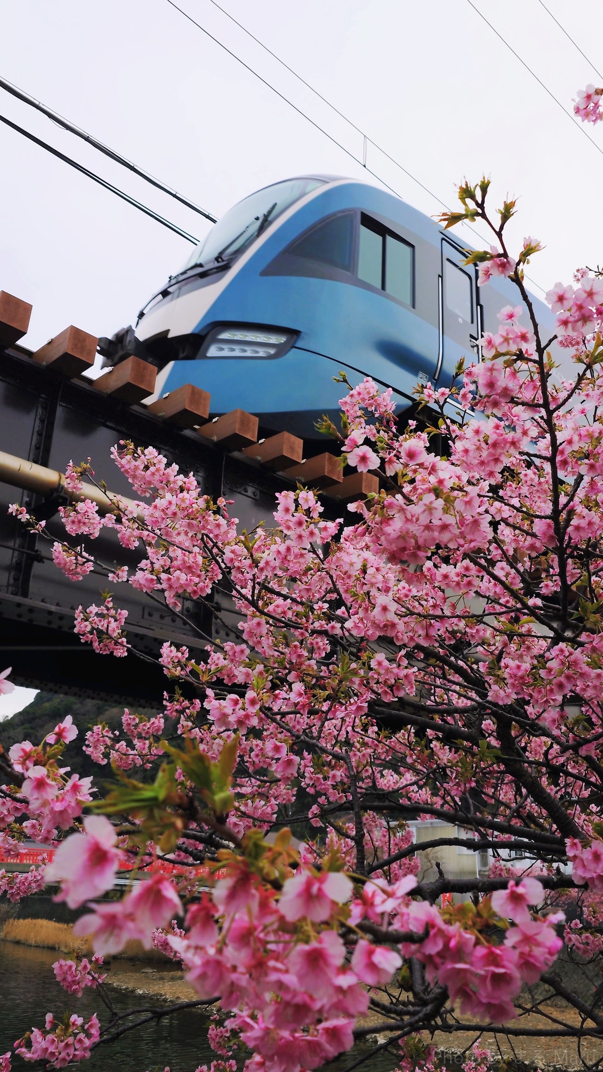 JR東日本 大宮総合車両センター東大宮センター E261系 RS1編成