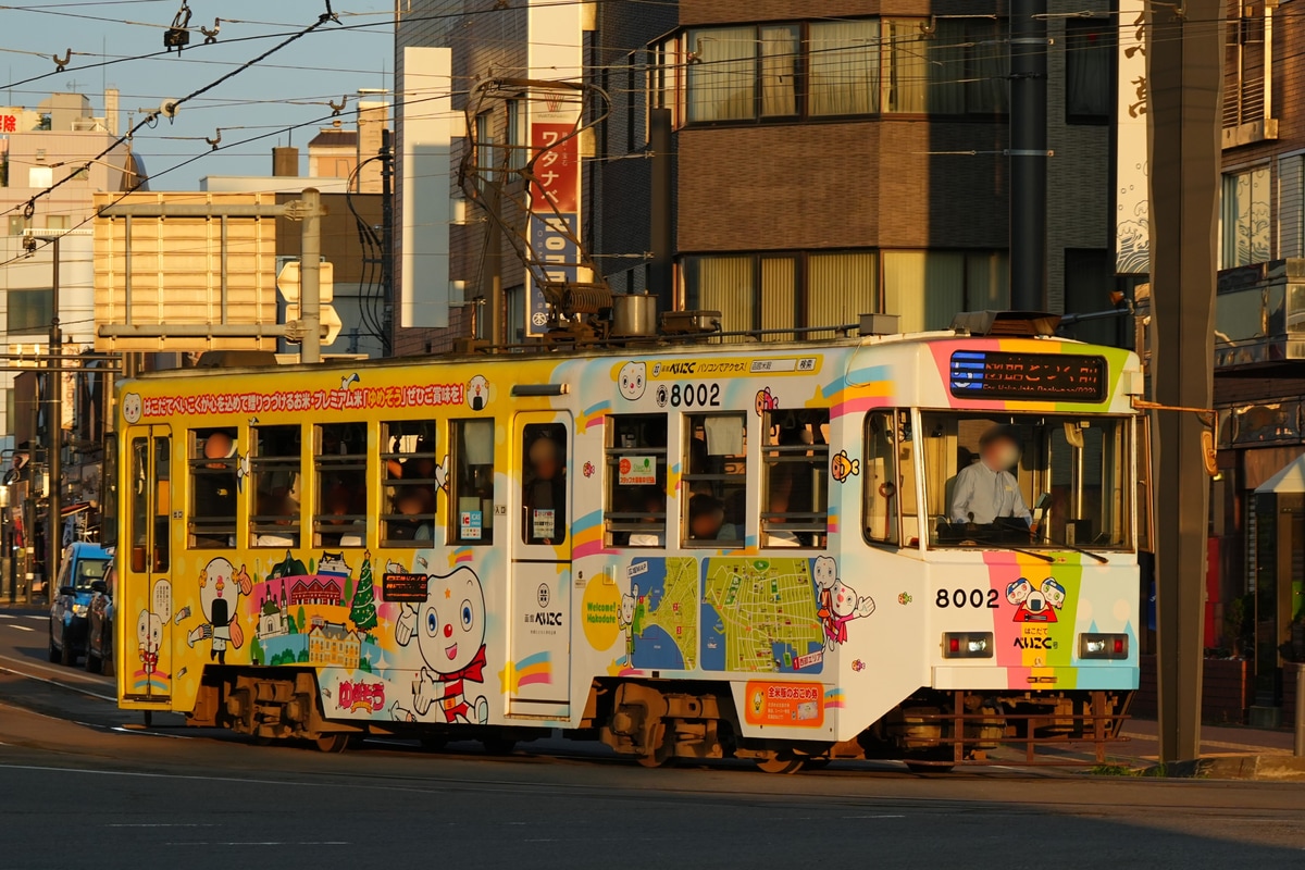 函館市企業局交通部 駒場車庫 函館市企業局交通部8000形 8002