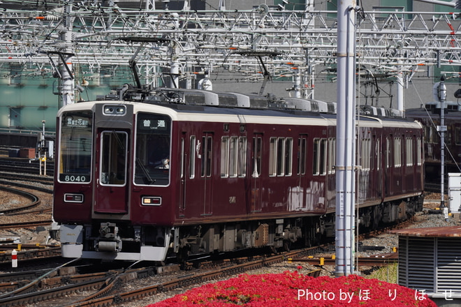 byほ　り　ほ　せ