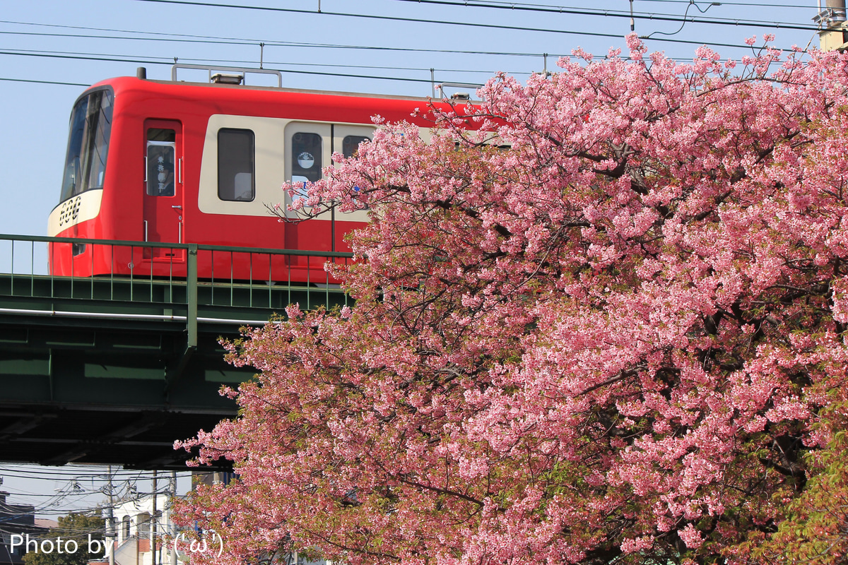 京急電鉄 久里浜検車区 600形 604f