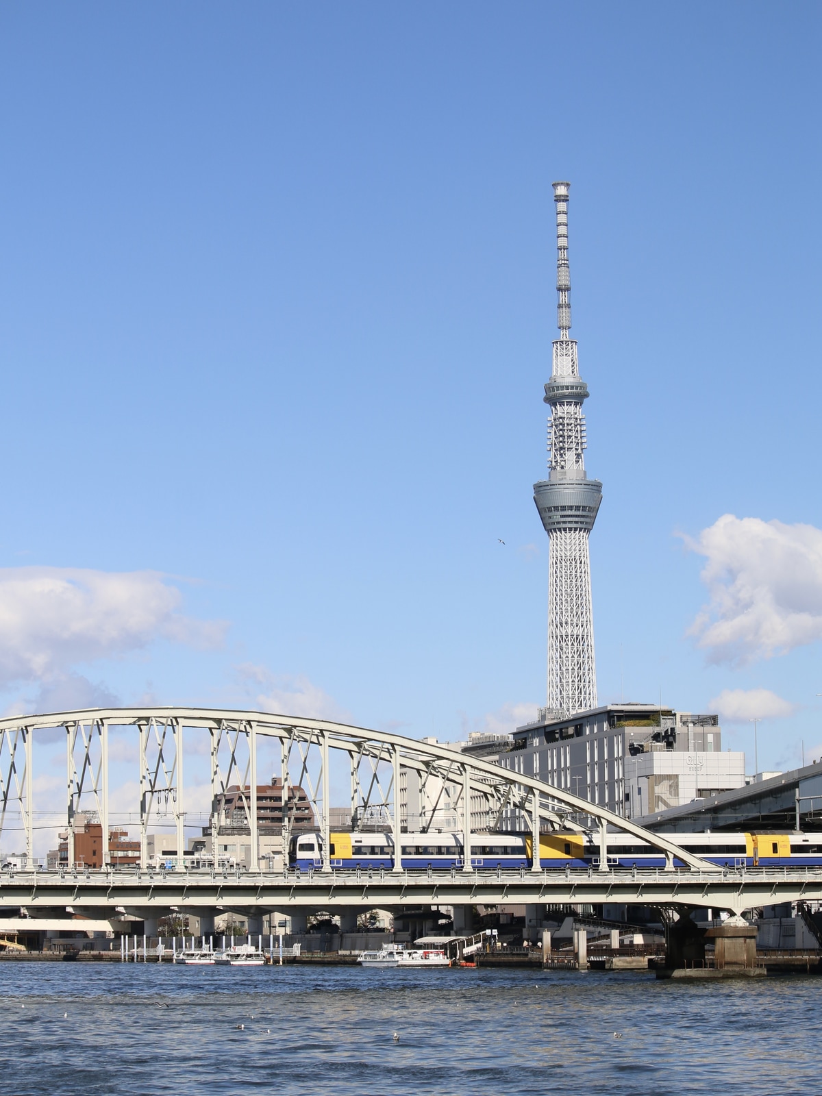JR東日本 幕張車両センター 255系 Be-03編成