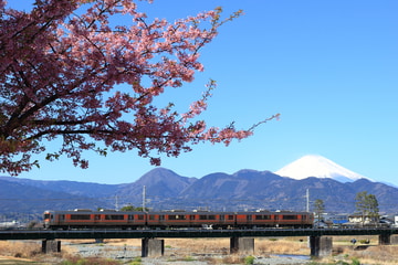JR東海313系シスS6編成を相模金子～松田間で撮影した画像