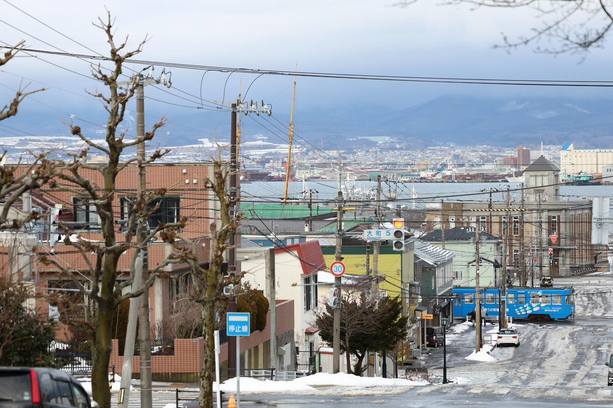 函館市企業局交通部  8000形 8003