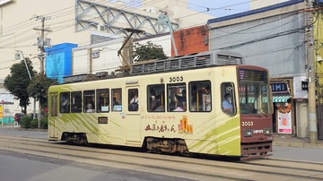 函館市企業局交通部 3000形 五稜郭公園前～中央病院前間付近