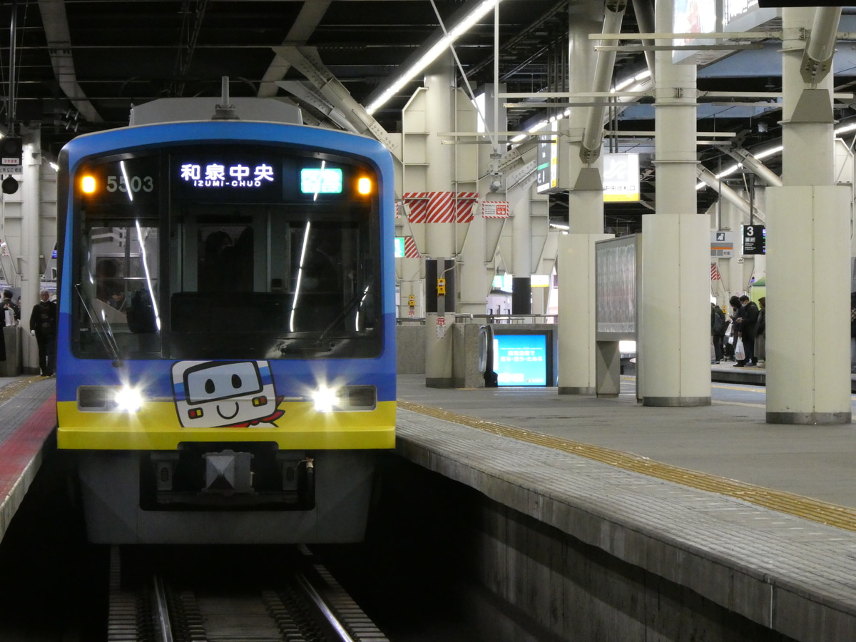 南海電気鉄道 光明池車庫 5000系 5503F