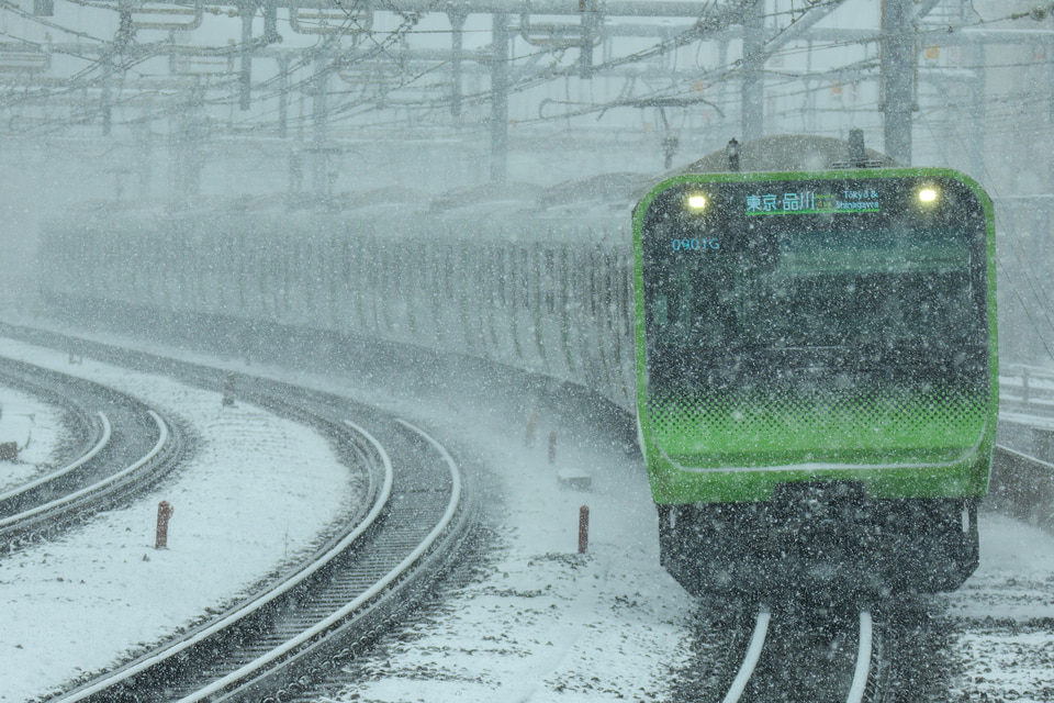 JR東E235系トウ03編成<br class="br-sp" />(トウ03)の写真