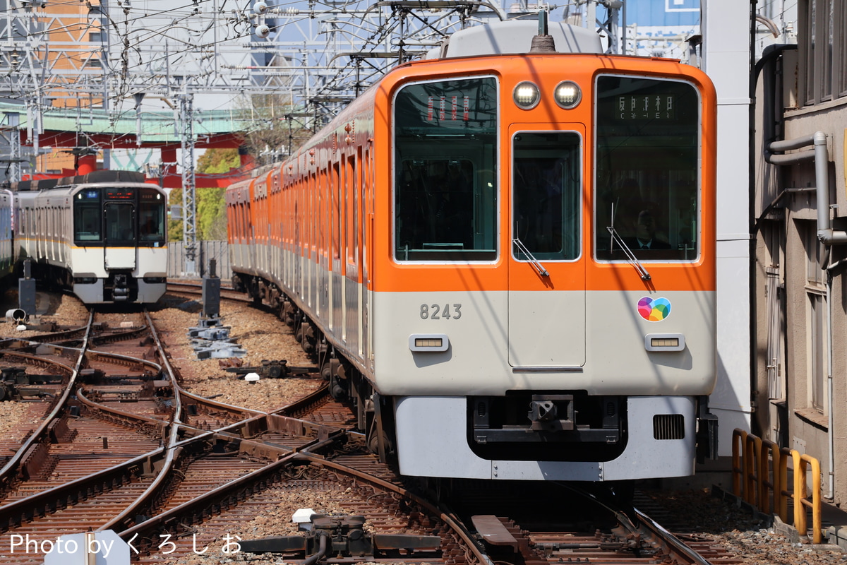 阪神電気鉄道 尼崎車庫 8000系 8243F