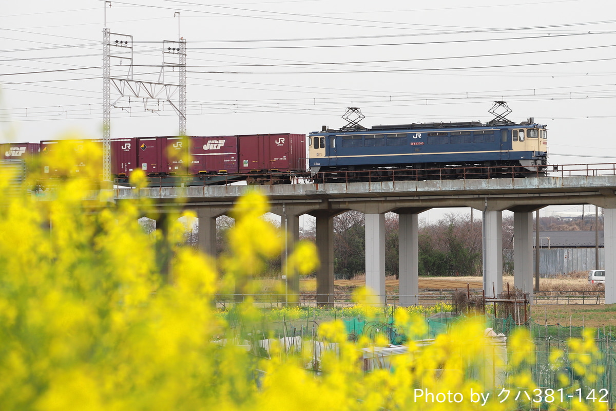 JR貨物 新鶴見機関区 EF65 2085