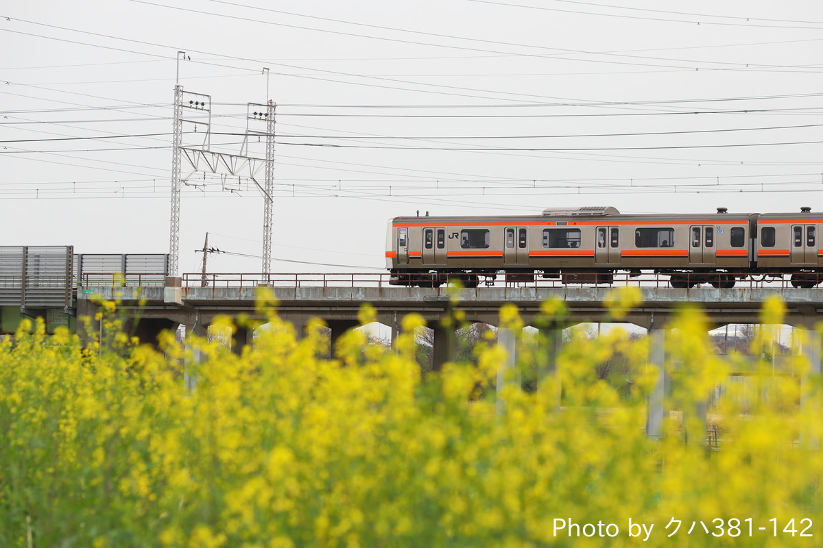 JR東日本 京葉車両センター 209系 M81編成
