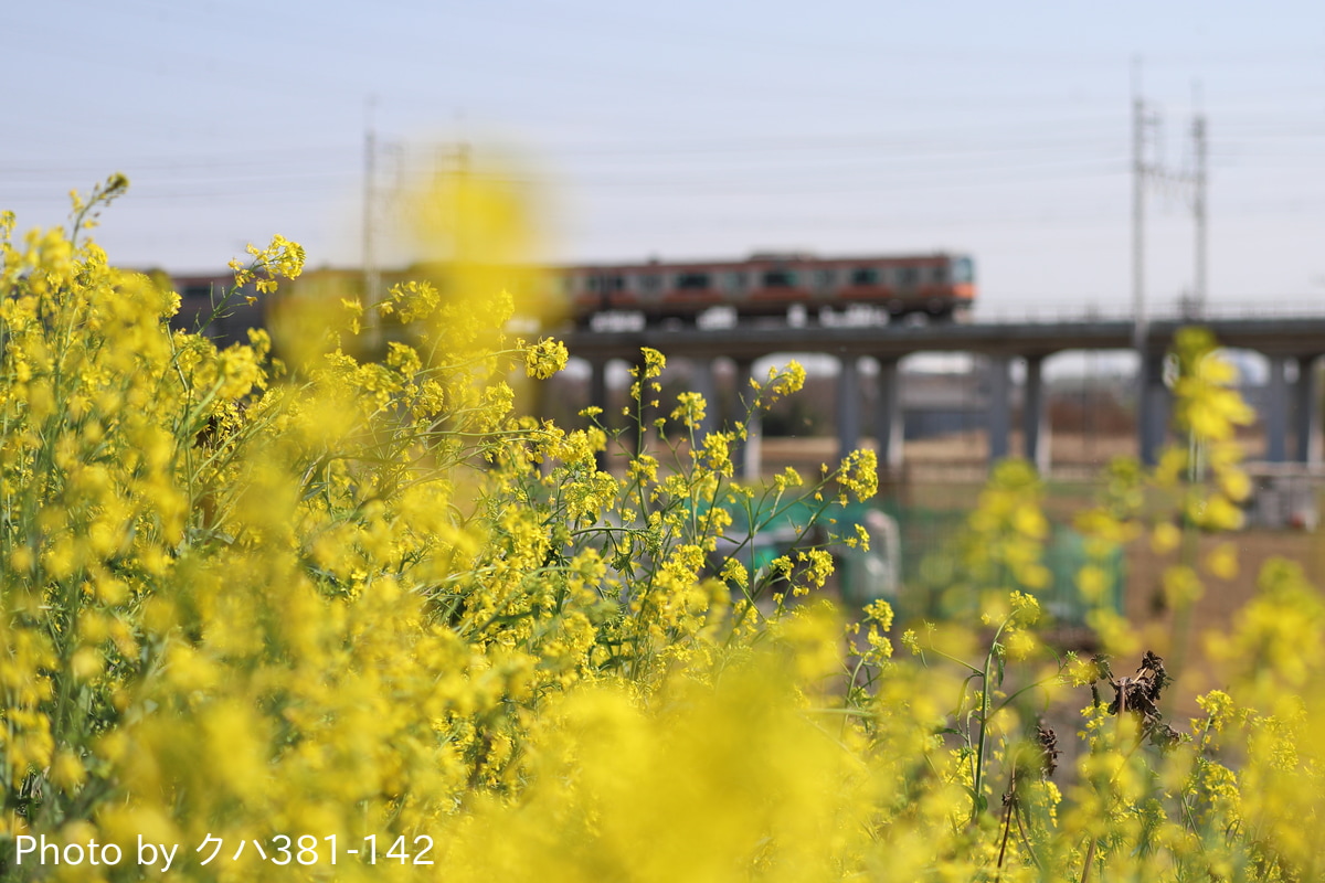 JR東日本 京葉車両センター E231系 