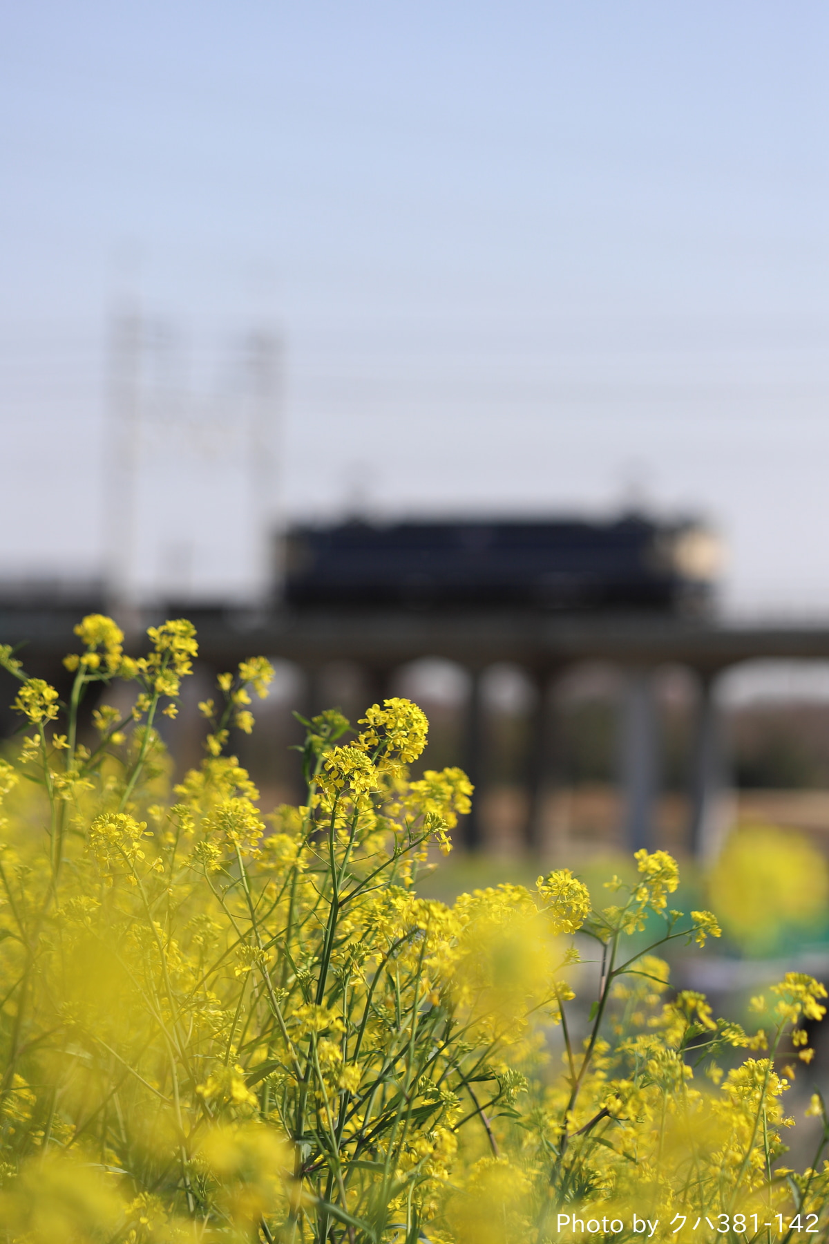 JR貨物 新鶴見機関区 EF65 