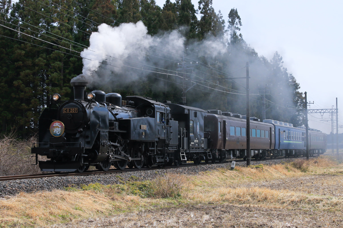 東武鉄道  C11 207