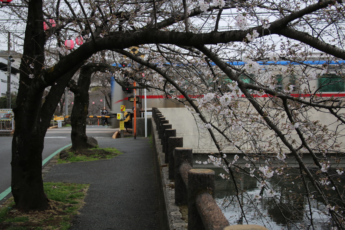 京成電鉄 宗吾車両基地 3200形 3204F