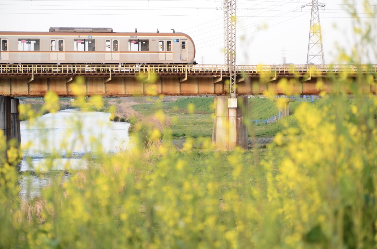 東京メトロ 和光検車区 10000系 