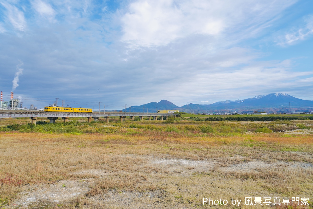 JR西日本 岡山電車区 115系 