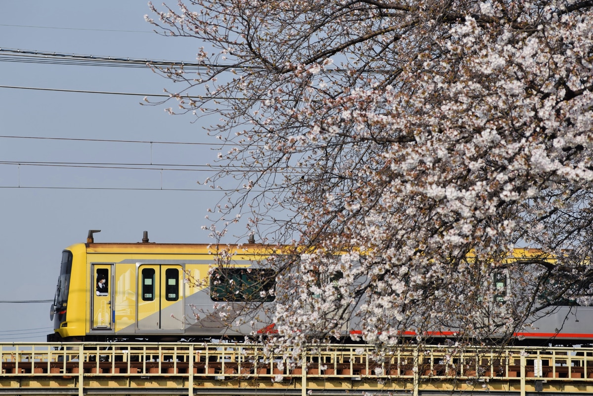 東急電鉄 元住吉検車区 5050系 4110F