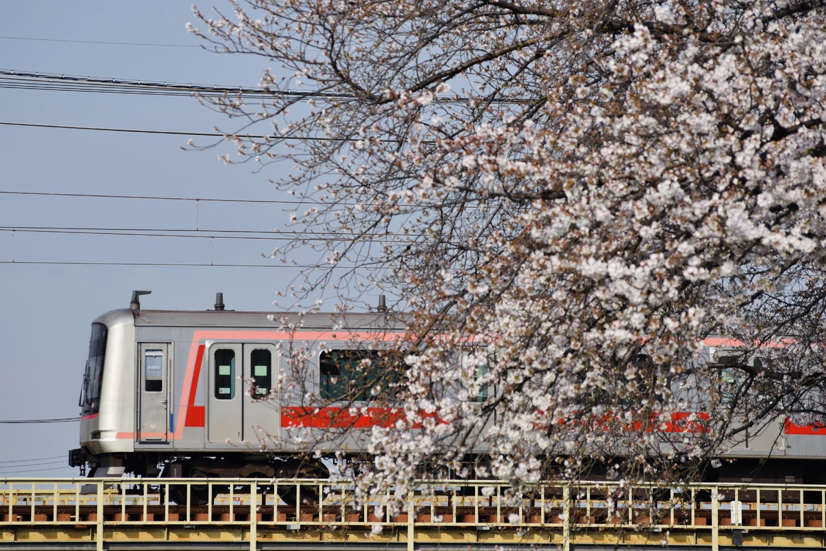 東急電鉄 元住吉検車区 5050系 