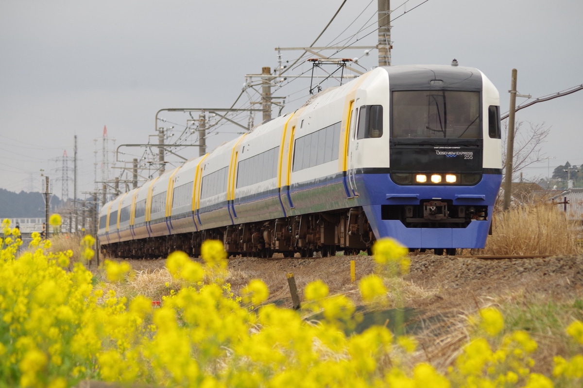 JR東日本 幕張車両センター本区 255系 マリBe-03編成
