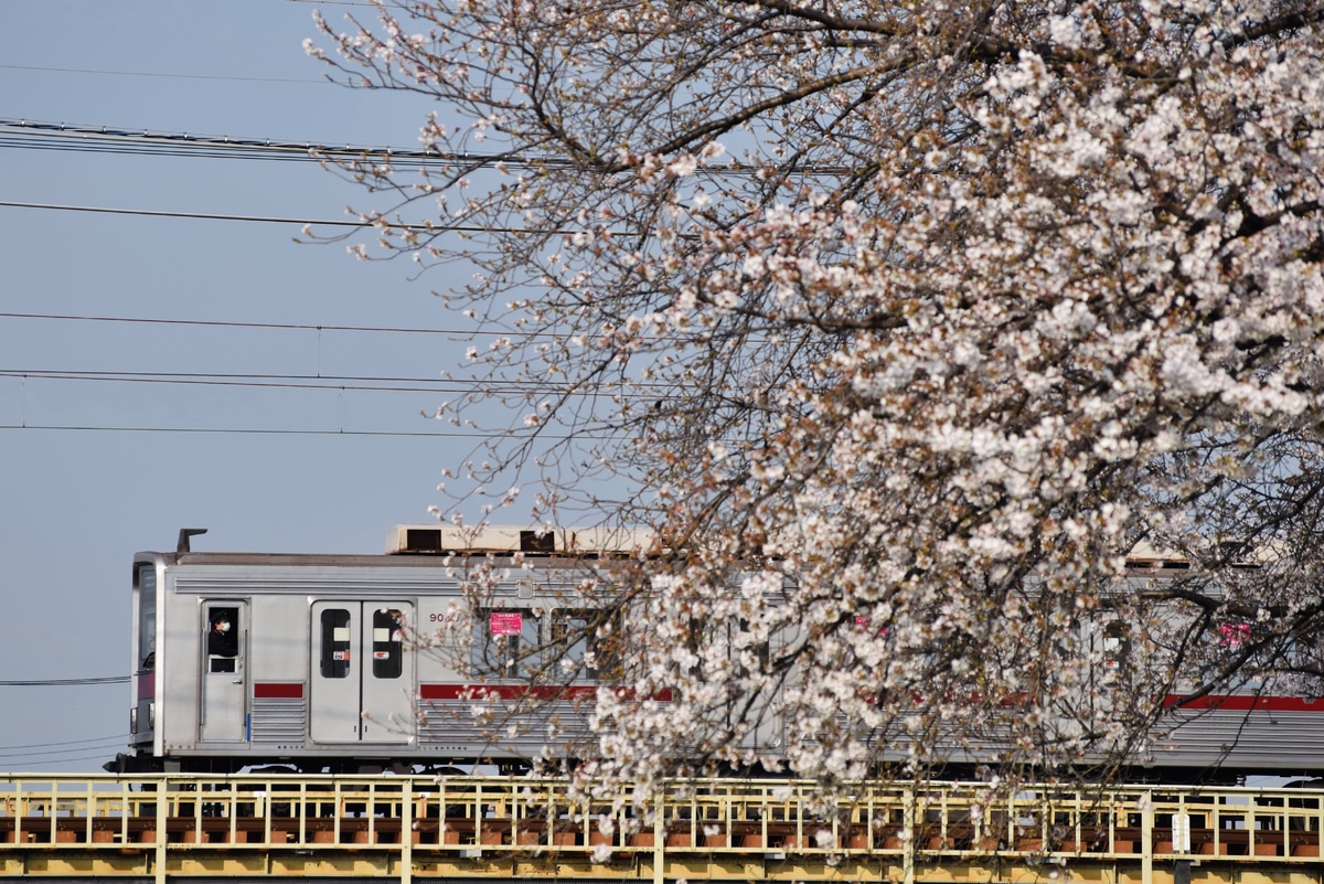 東武鉄道 森林公園検修区 9000系 