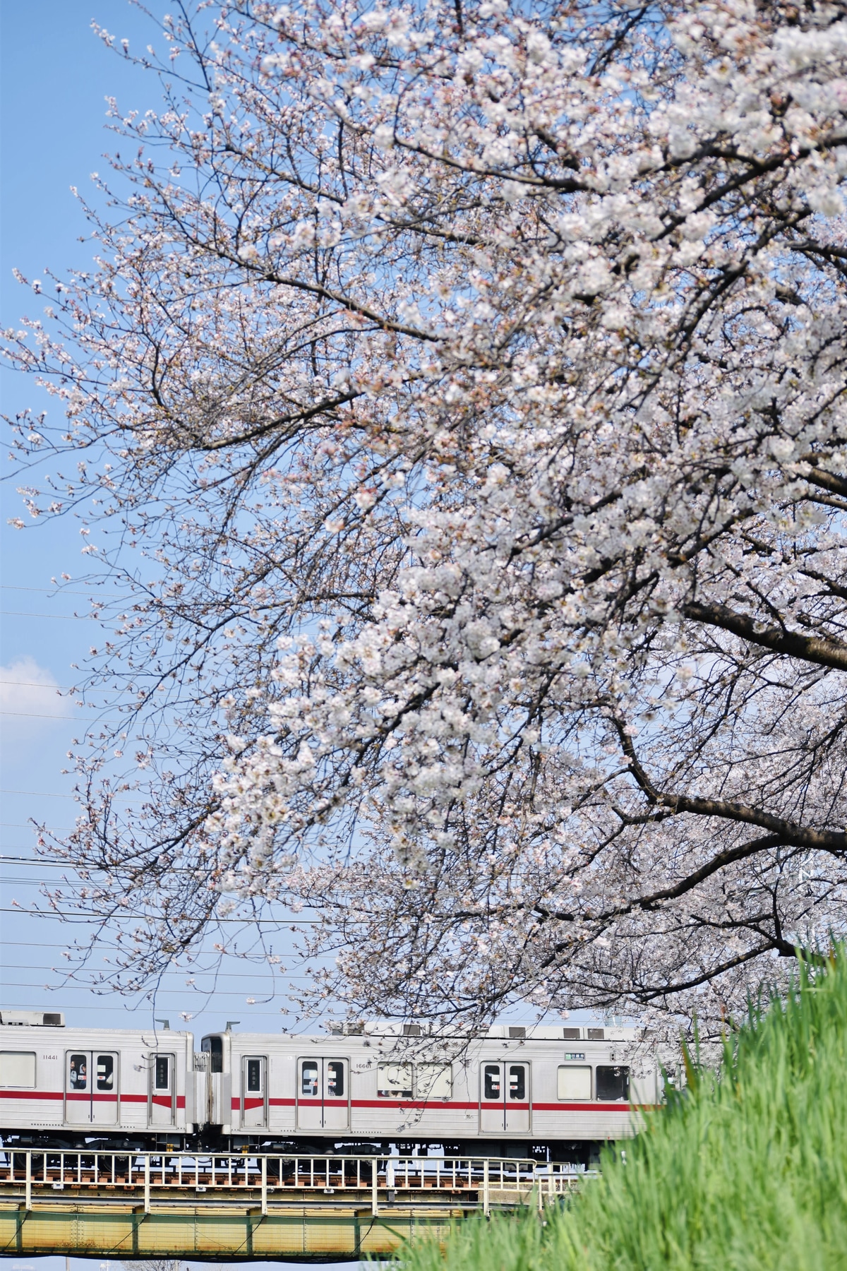 東武鉄道 森林公園検修区 10050系 11661F