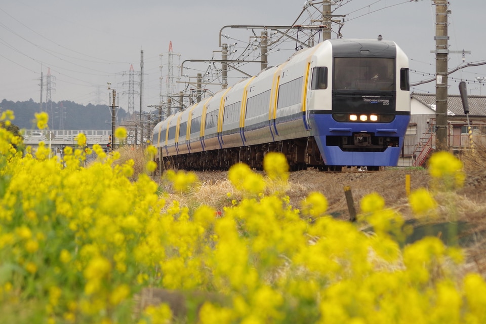 JR東255系マリBe-03編成<br class="br-sp" />(Be-03編成)(マリBe-03)の写真