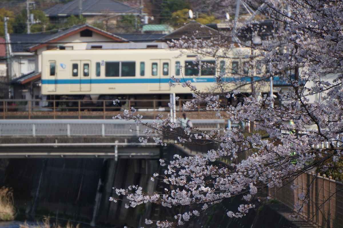 小田急電鉄  8000系 8064f
