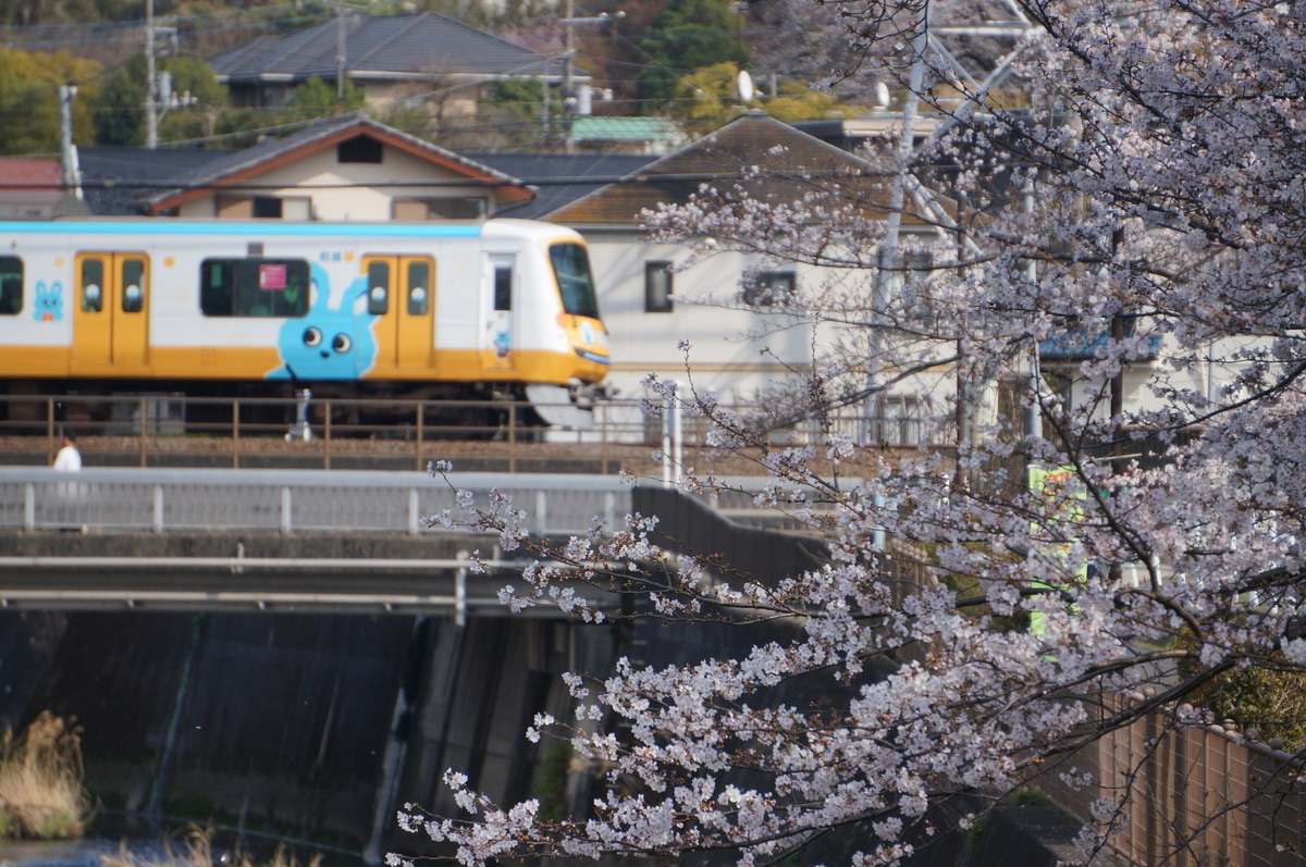 小田急電鉄  5000系 5055f