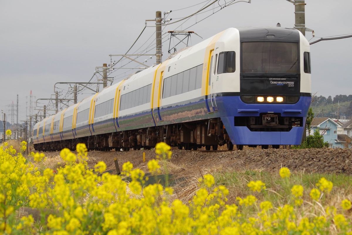 JR東日本 幕張車両センター本区 255系 マリBe-03編成