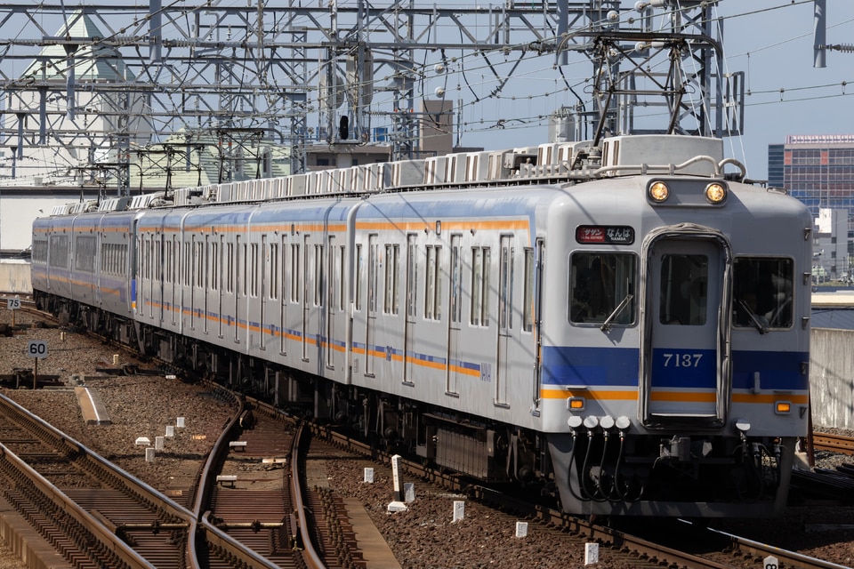 南海7100系7137F<br class="br-sp" />(7137編成)の写真