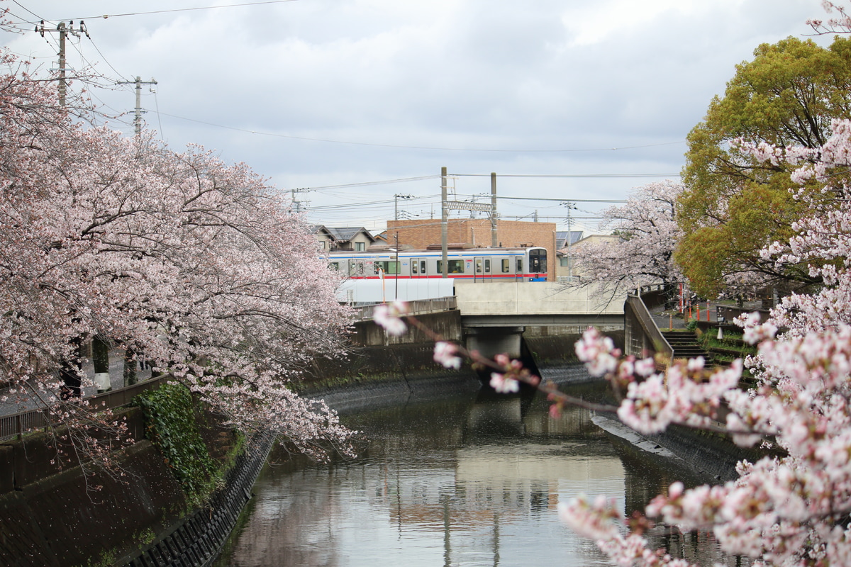 京成電鉄 宗吾車両基地 3700形 3818F