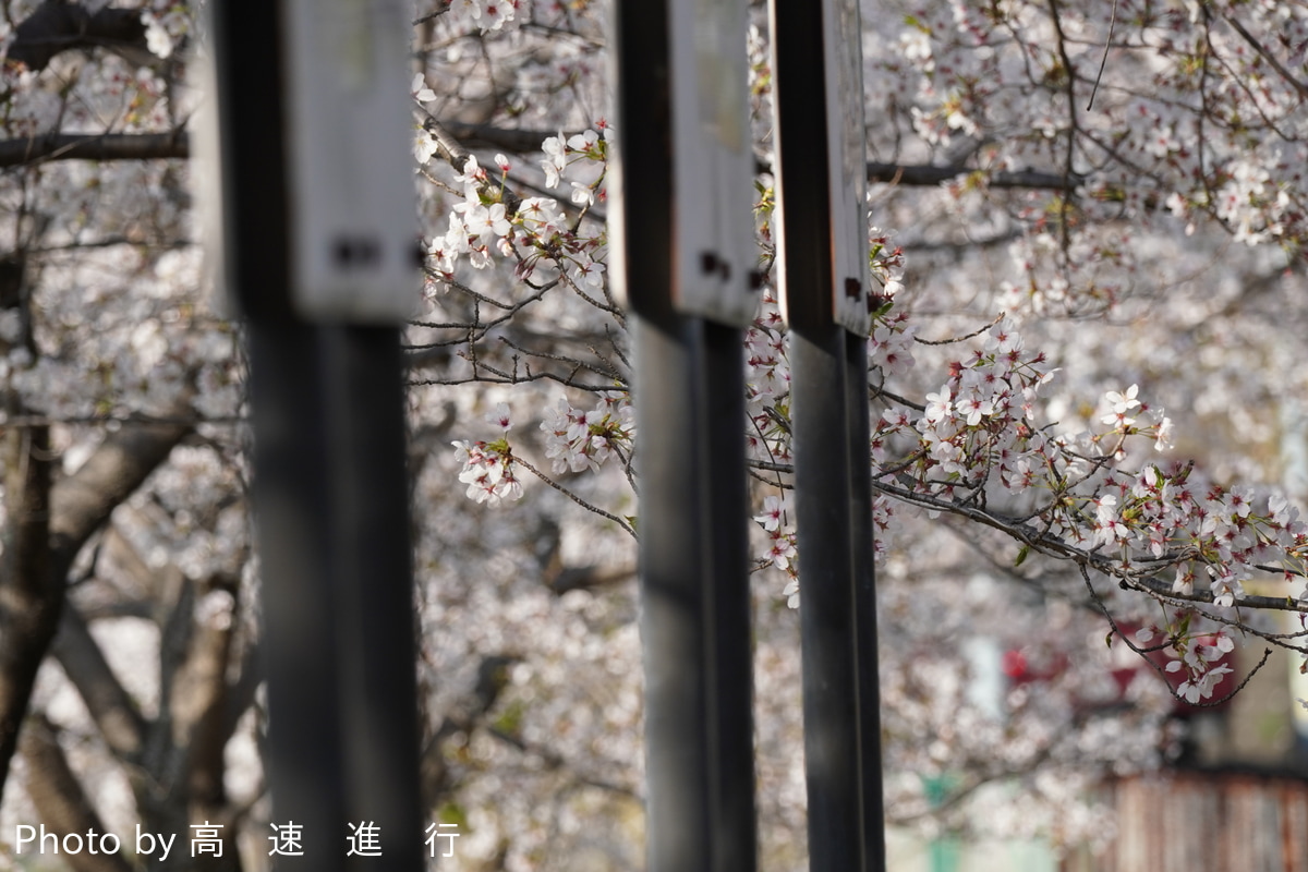 阪急電鉄 正雀車庫 5300系 5304F