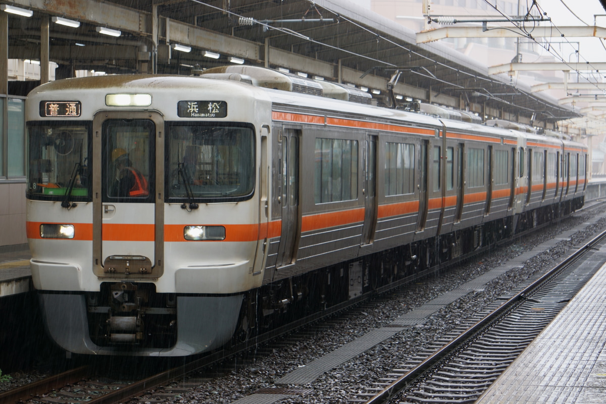 JR東海 静岡車両区 313系 シスL8編成