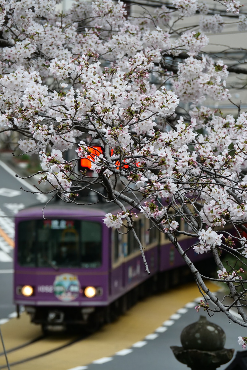 江ノ島電鉄 極楽寺検車区 1000形 1002F