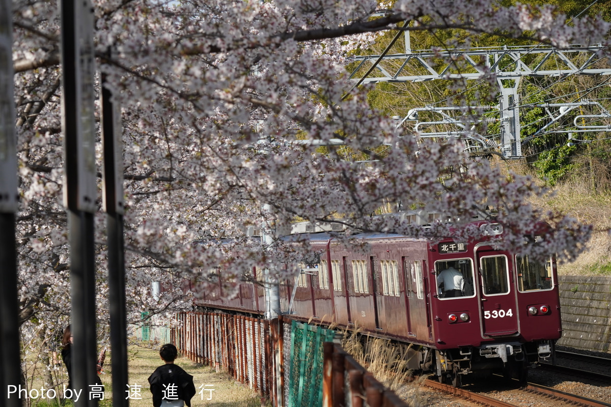 阪急電鉄 正雀車庫 5300系 5304F