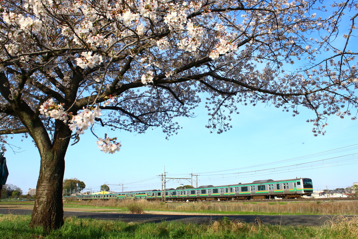 JR東日本  231系 